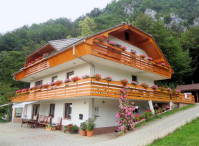Гостиница Fine Stay Apartments, Žirovnica